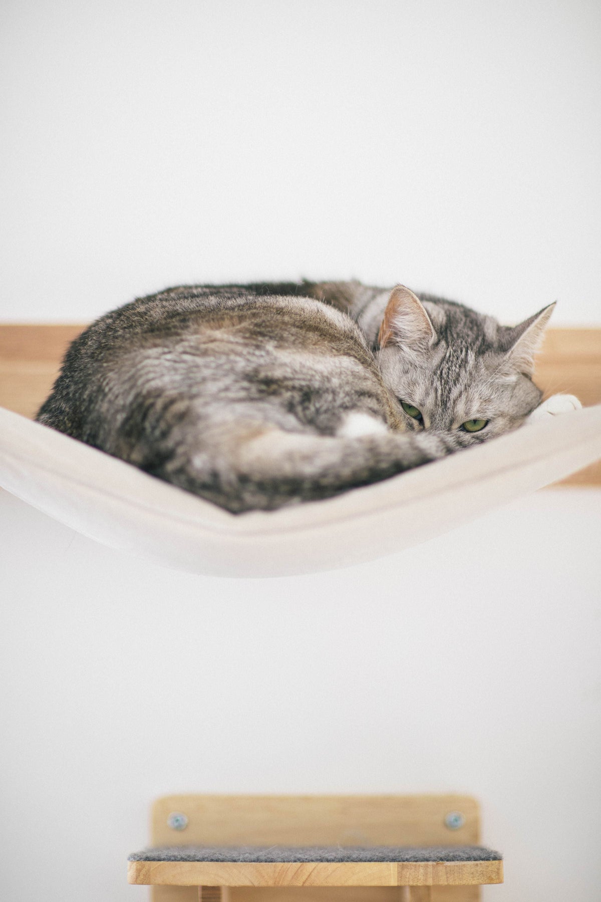 Pet Furniture
