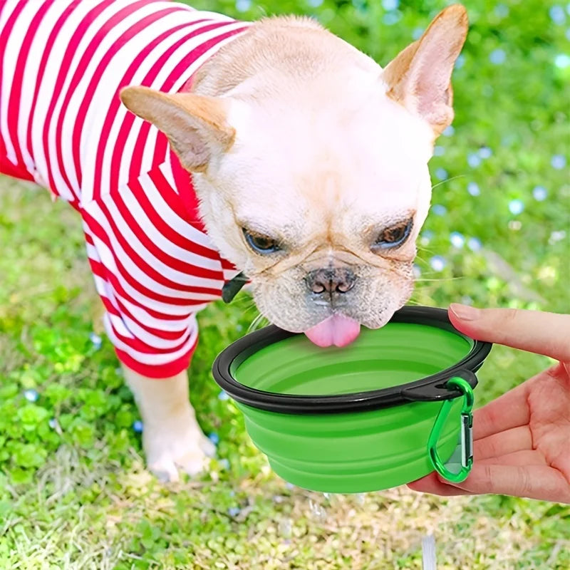 Collapsible Travel Bowl in Green — a French bulldog drinking from the bowl on the grass