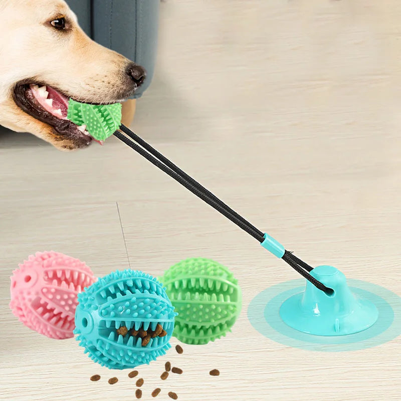 Rubber Treat Toy in Blue — dog tugging the treat ball on its suction base, with three balls beside