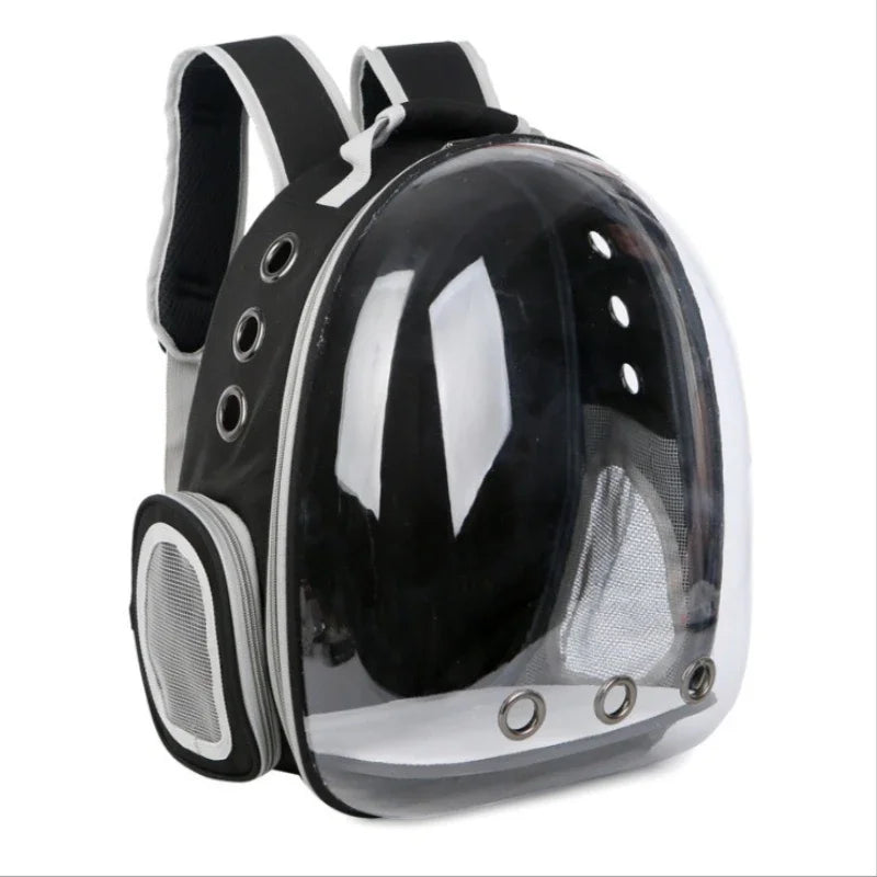 Window Cat Backpack in Black — three-quarter view on a white background