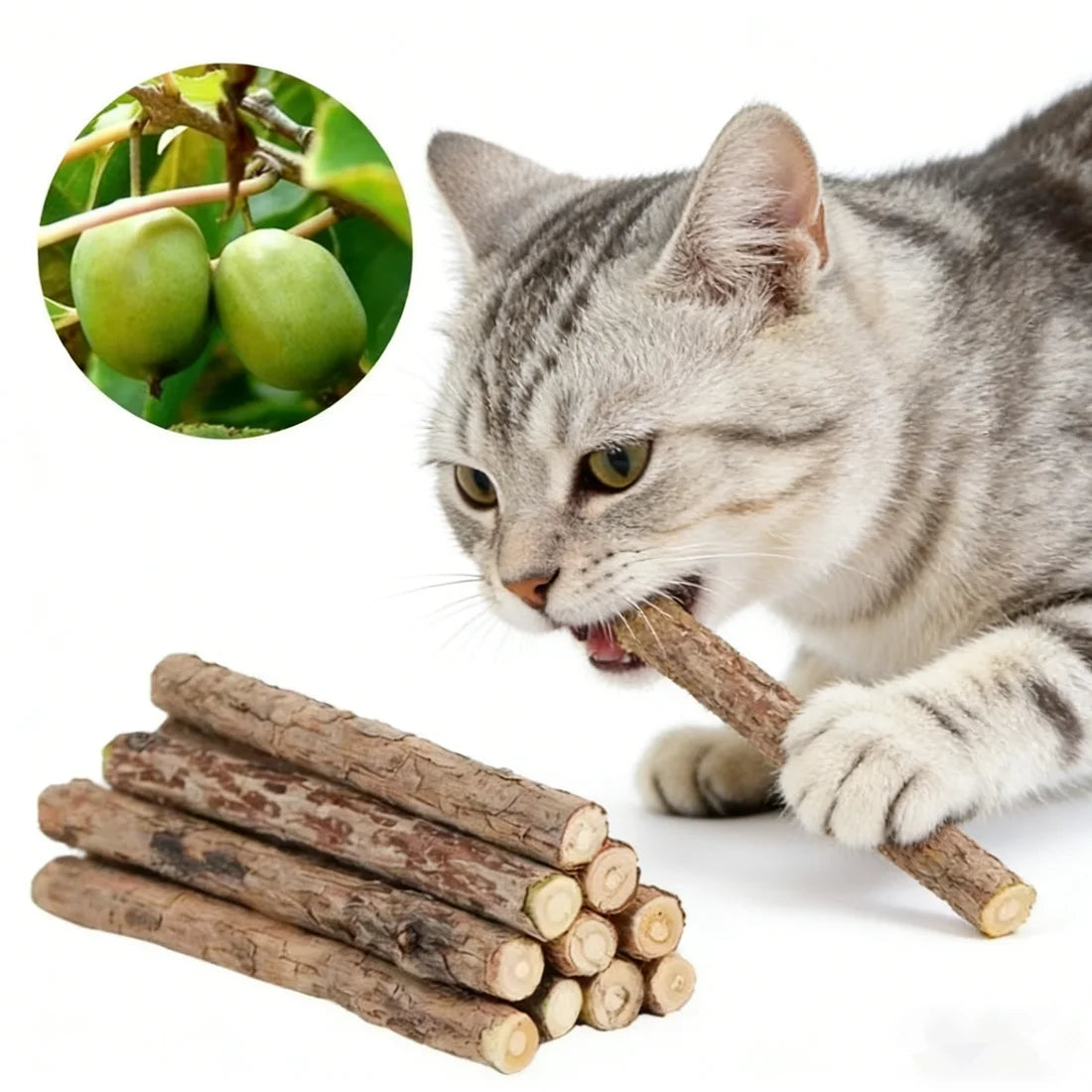 Silvervine Chew Sticks in Natural — cat chewing a stick beside a bundle on a white background