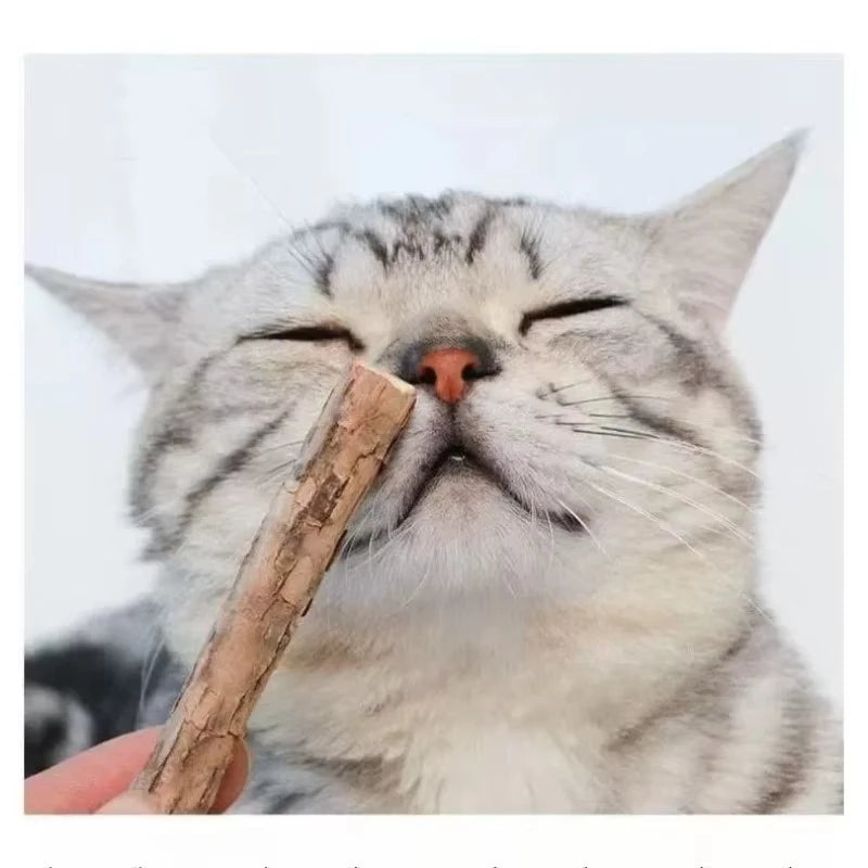 Silvervine Chew Sticks in Natural — cat sniffing a stick up close