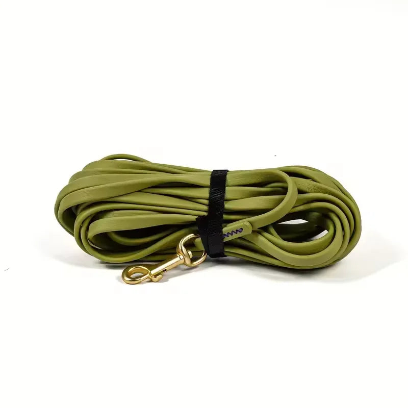 Coated Long Line Leash in Sage — coiled leash with brass-tone snap hook on a white background