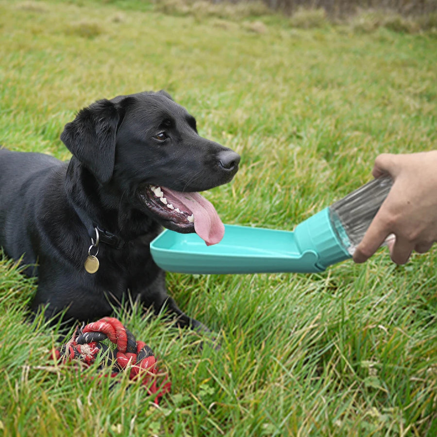 Travel Water Bottle in Mint — a black Labrador drinking from the fold-out tray on a lawn