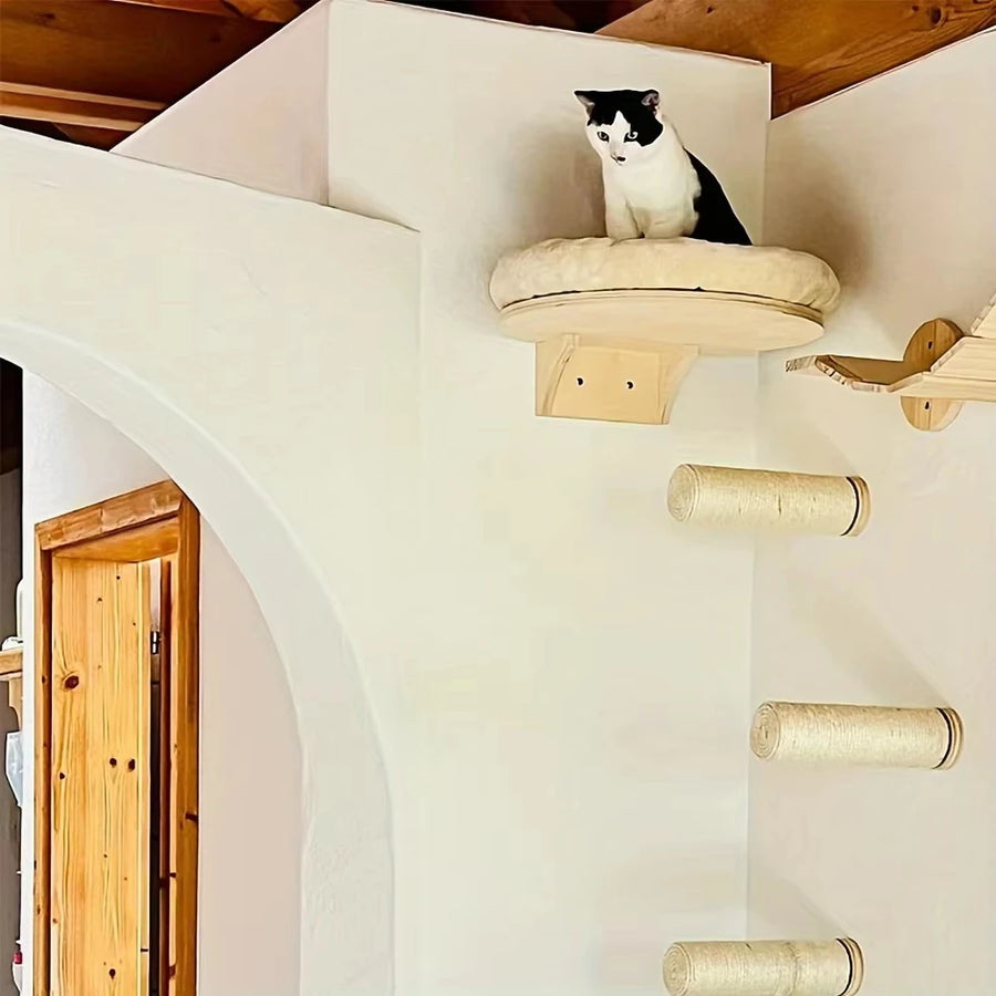 Wall Climbing Set in Sand — wall bed with sisal posts mounted beside a doorway, cat resting on top