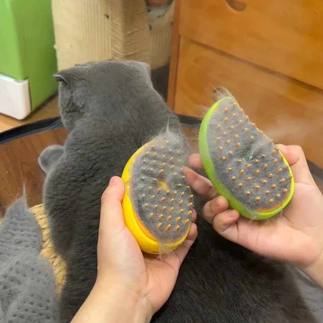Steam Grooming Brush in Lime — two brushes with gathered fur held beside a grey cat