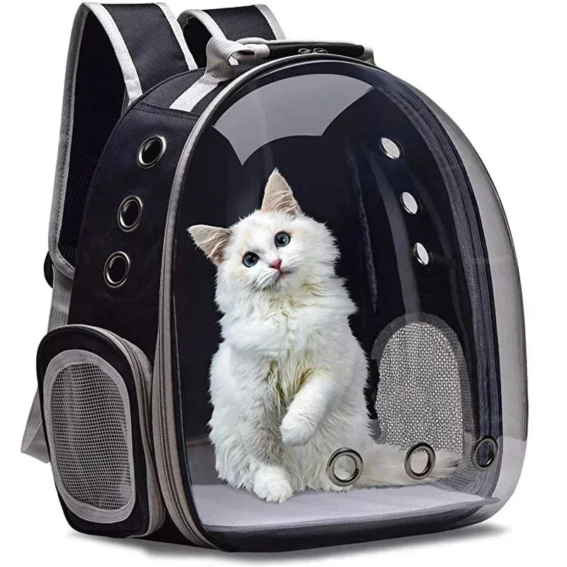Window Cat Backpack in Black — a white cat sitting inside the clear front shell