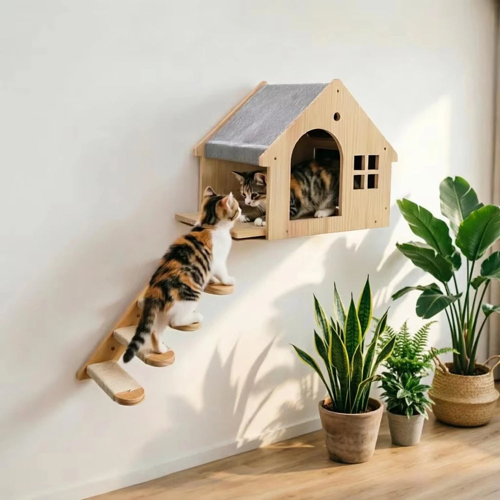 Wall Cat Condo