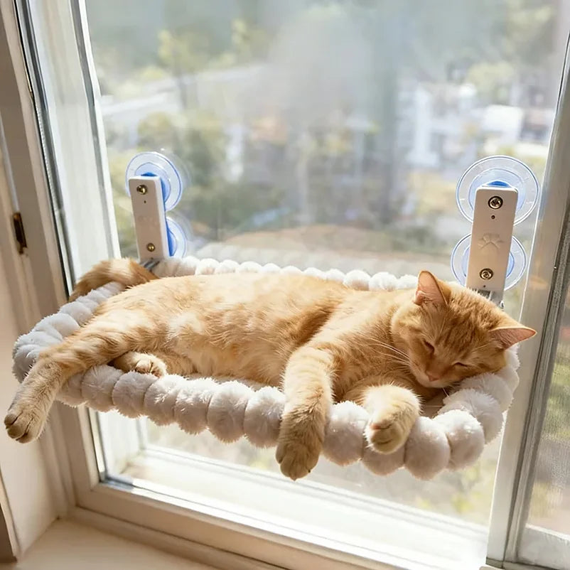 Window Perch in Cream — rectangle perch with a ginger cat sleeping at a sunny window