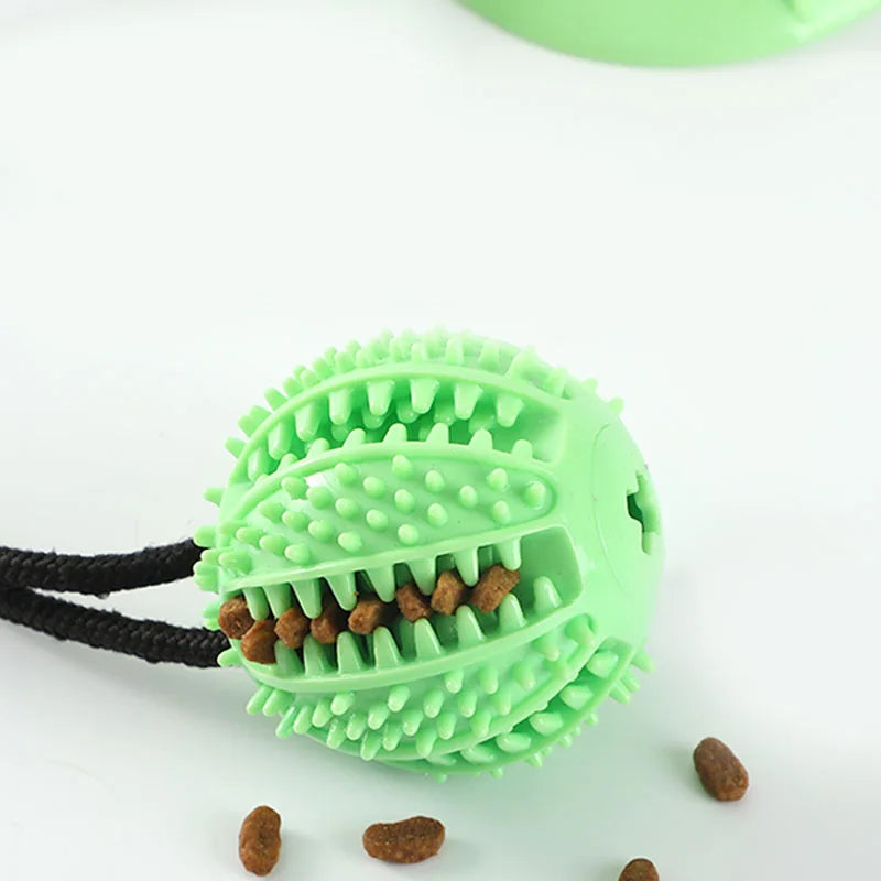 Rubber Treat Toy in Sage — close-up of the treat ball filled with kibble