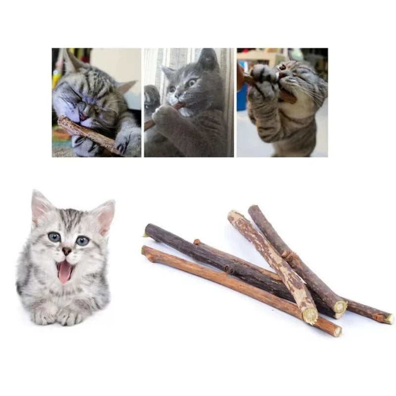 Silvervine Chew Sticks in Natural — cats enjoying the sticks in a photo collage