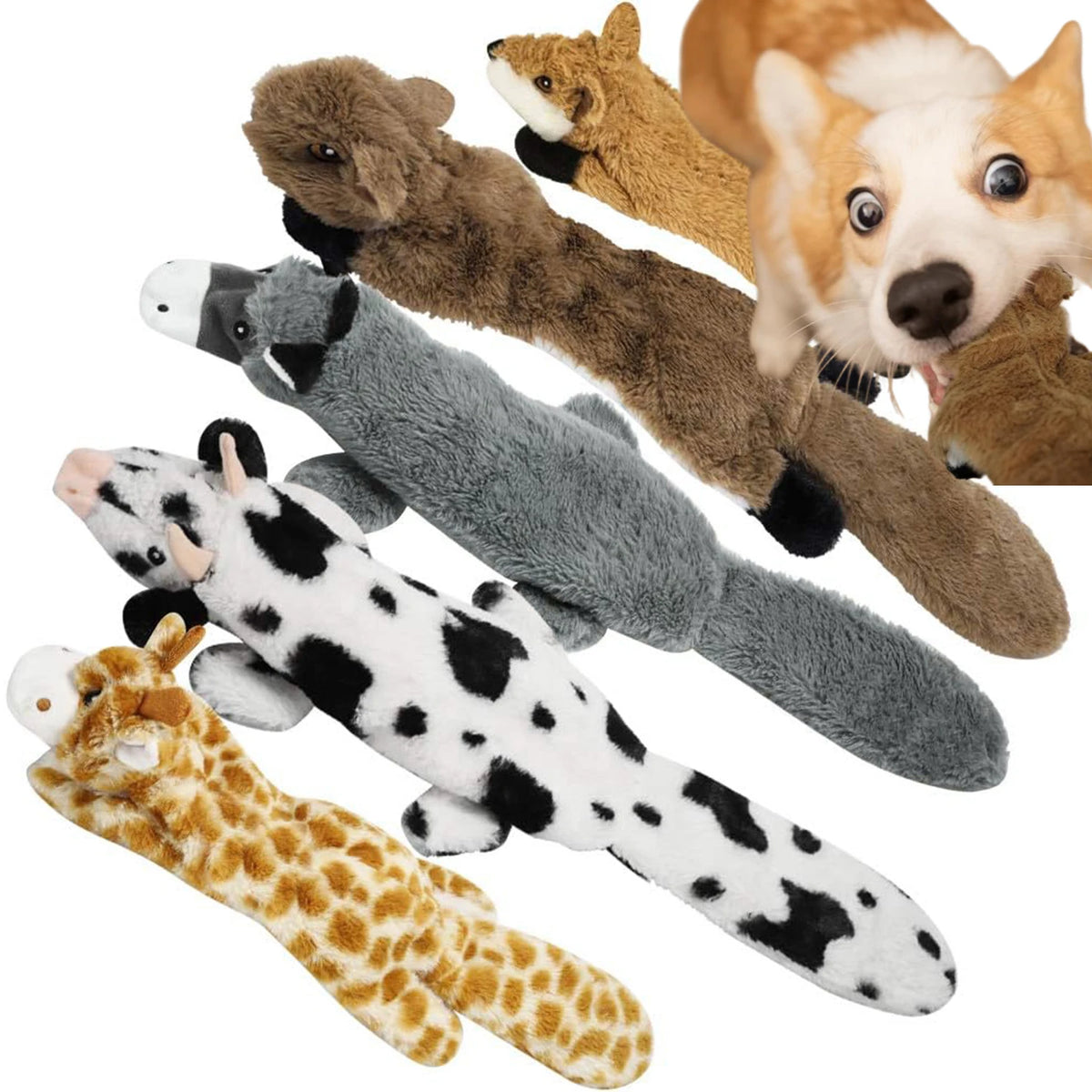 Crinkle Plush Toy in Fox, Squirrel, Donkey, Cow and Giraffe — all five styles with a corgi on a white background