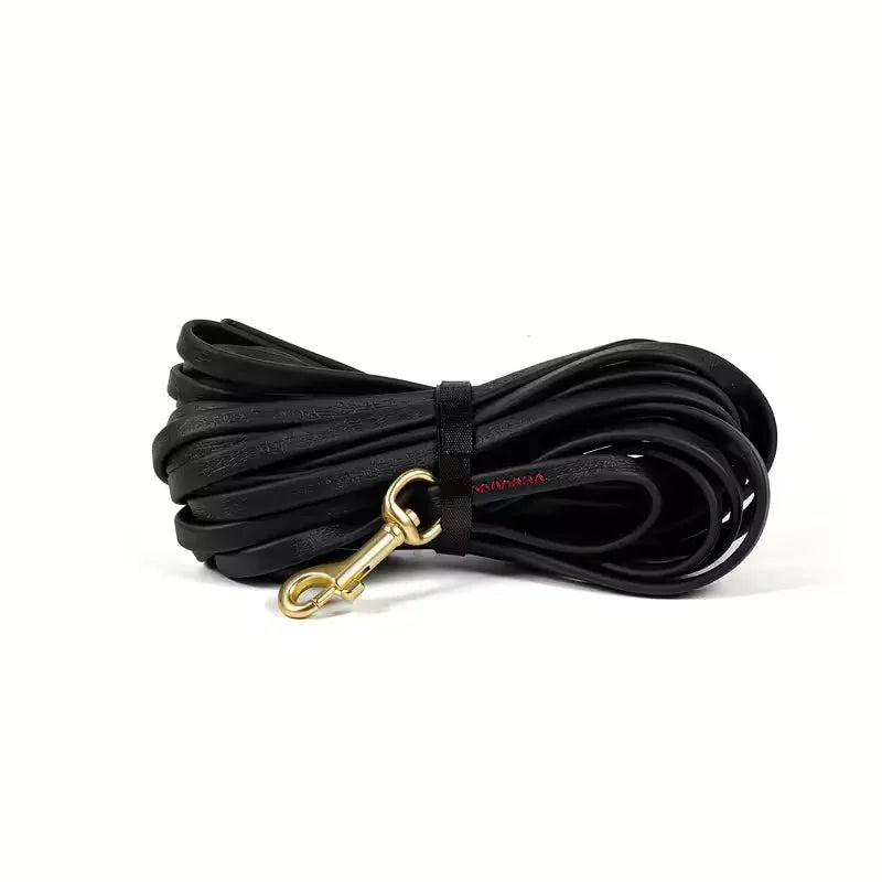 Coated Long Line Leash in Black — coiled leash with brass-tone snap hook on a white background