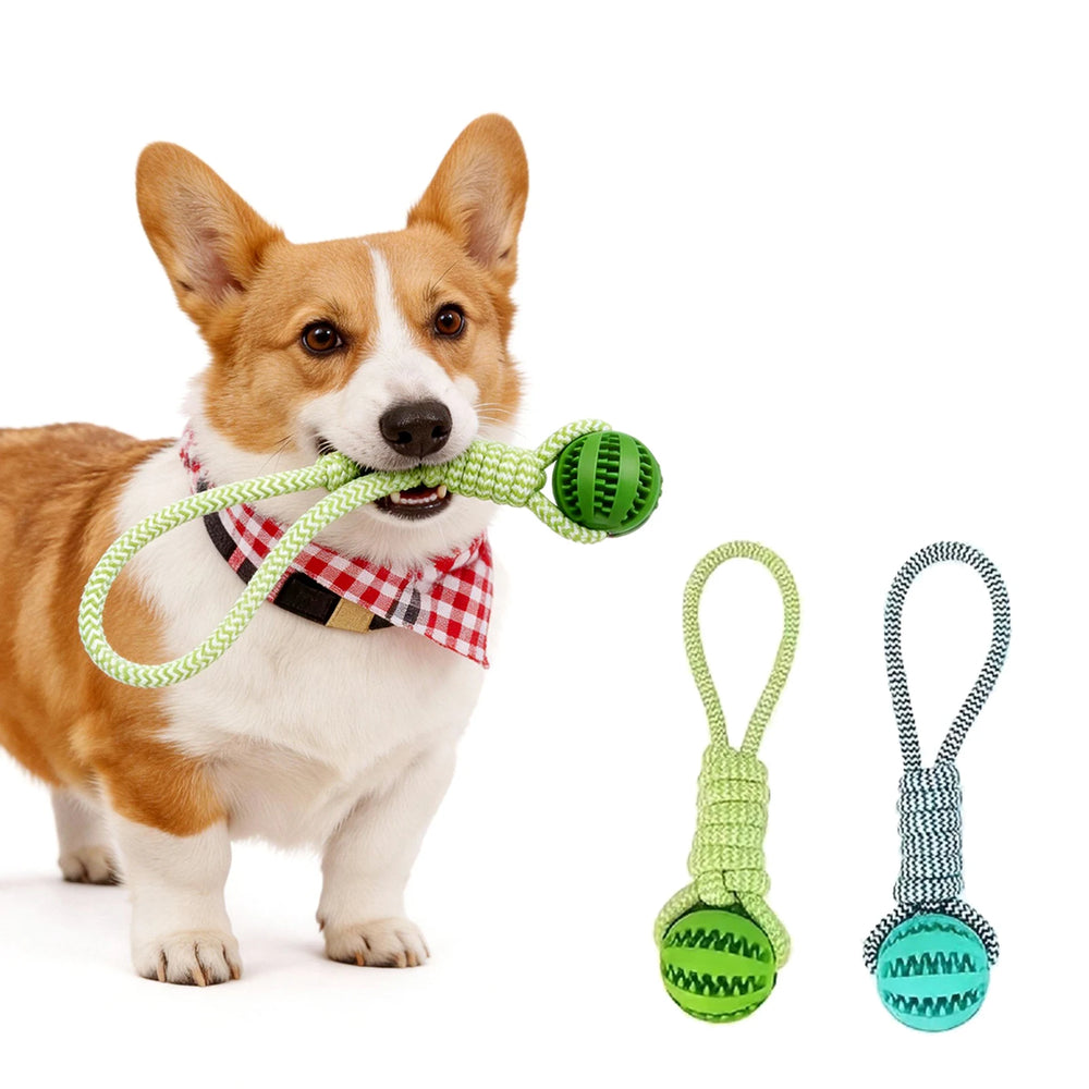 Rope Tug Toy