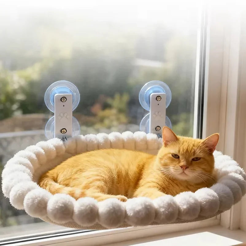 Window Perch in Cream — oval perch with a ginger cat resting against the glass