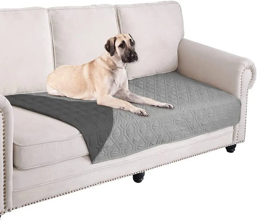 Quilted Sofa Protector in Mist — dog resting on a covered loveseat seat