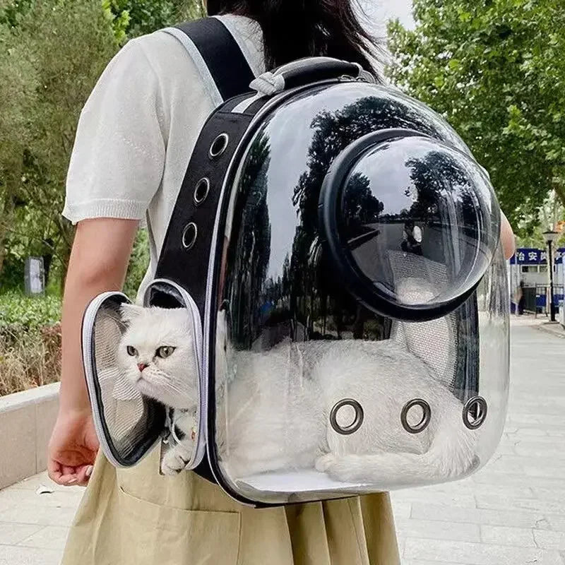Window Cat Backpack in Black with bubble dome — worn on a city walk with a cat looking out of the side window