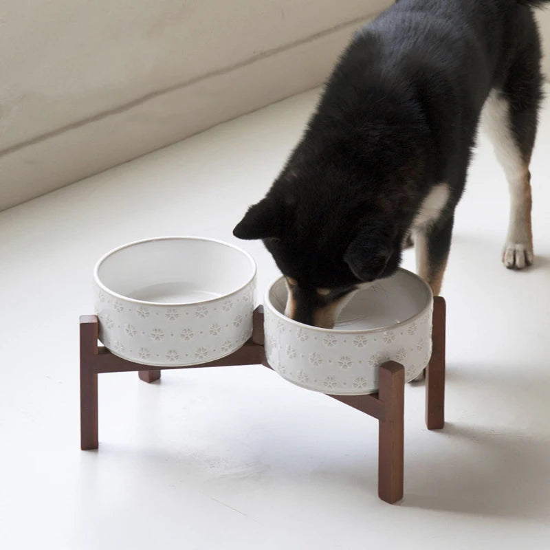 Raised Ceramic Feeder in Cream — dog eating from the double stand