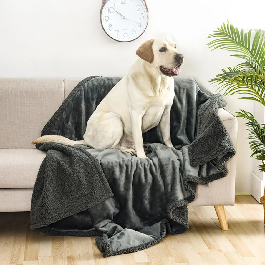 Reversible Sherpa Throw in Stone — a dog sitting on the throw draped over a sofa