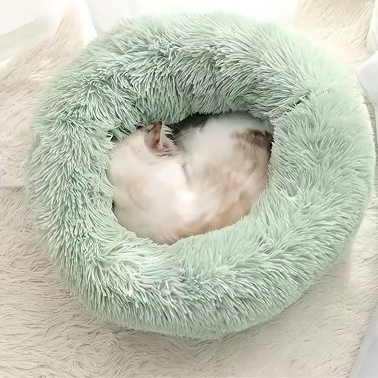 The Cloud Donut Bed in Sage — a cat curled up asleep inside the plush bed on a soft rug