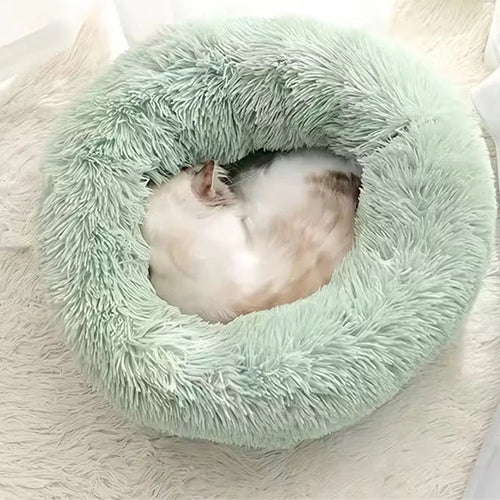The Cloud Donut Bed in Sage — a cat curled up asleep inside the plush bed on a soft rug